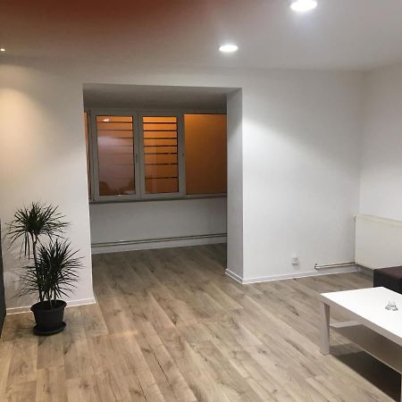 Apartment City Center Piteşti Exterior foto